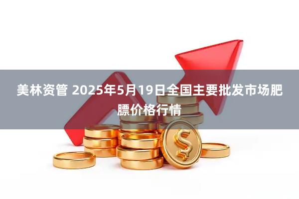 美林资管 2025年5月19日全国主要批发市场肥膘价格行情